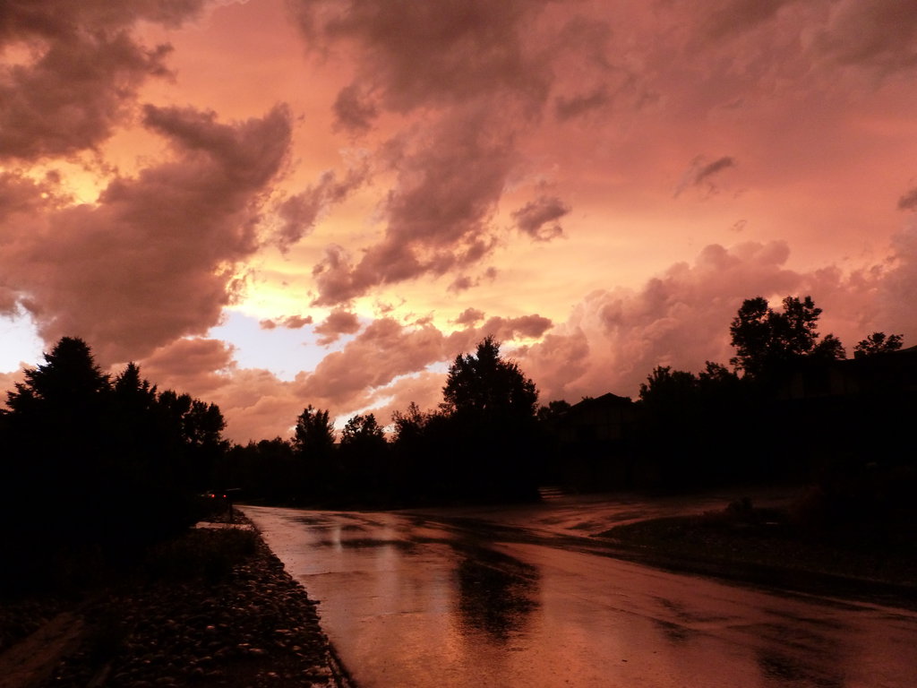 red-rain-shutterbug